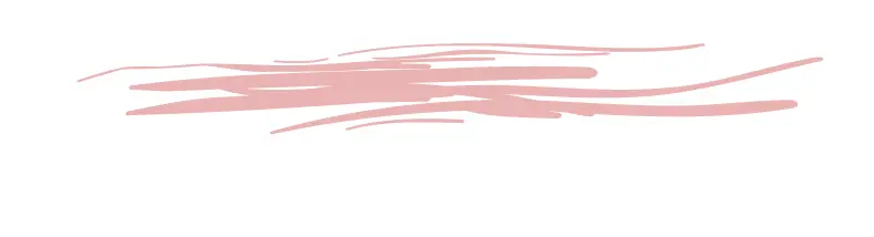 headerAsset 4